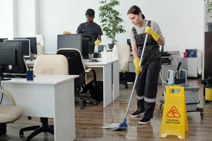 Cleaner Job in Auckland
