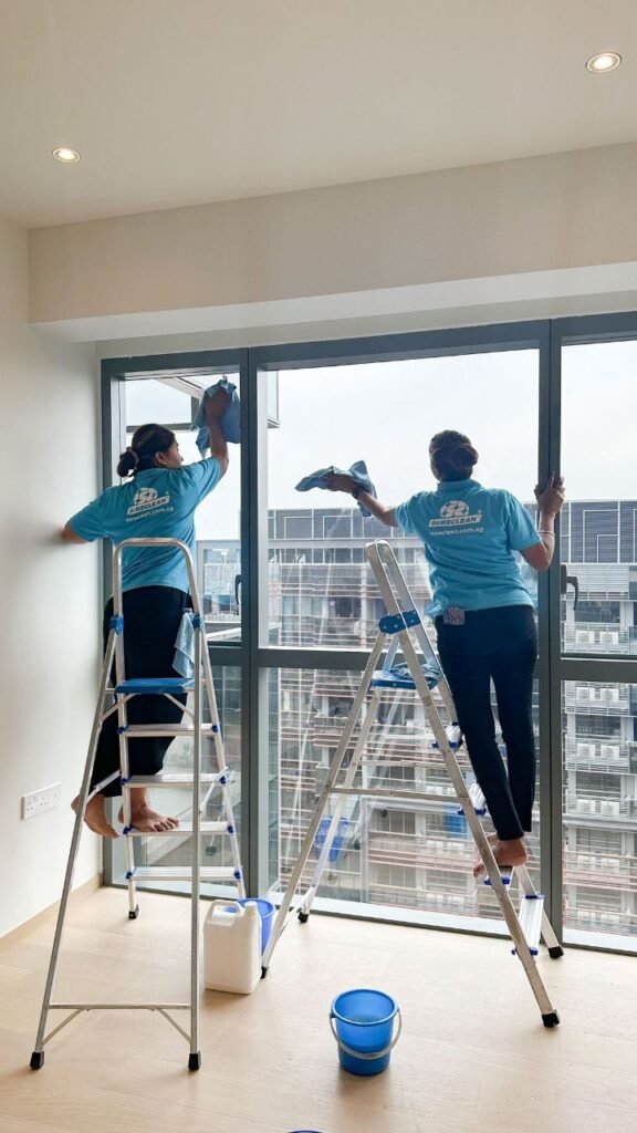 Cleaner Job in Auckland