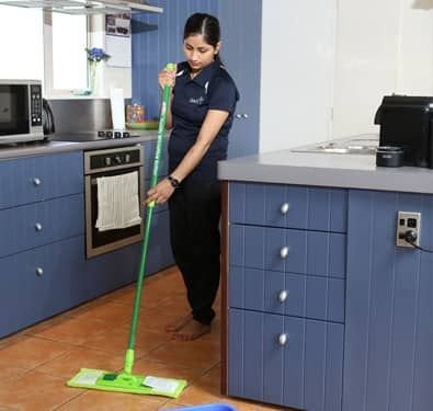 Cleaner Job in Auckland