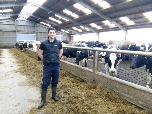 Dairy Farm Worker Job in Australia