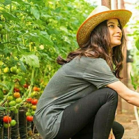 Farm Assistant Job in New Zealand