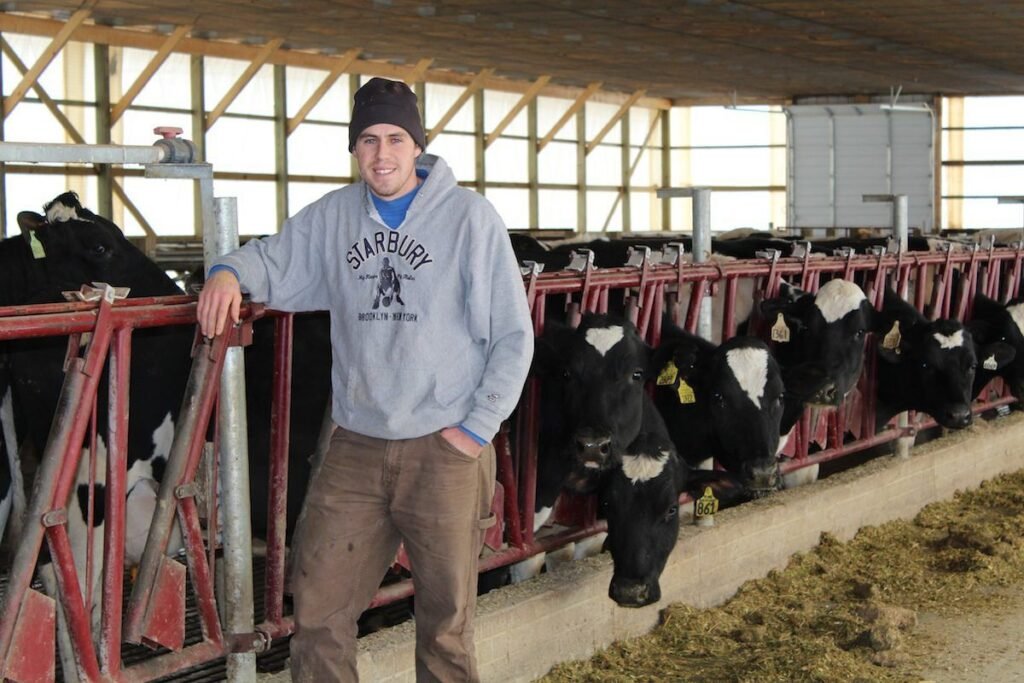 Dairy Farm Assistant Job in New Zealand