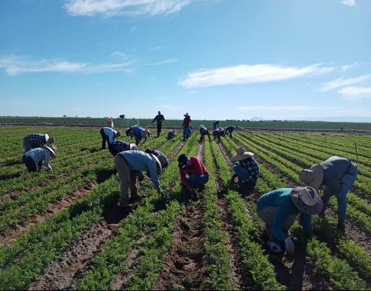 Farm Worker Job in Cebu