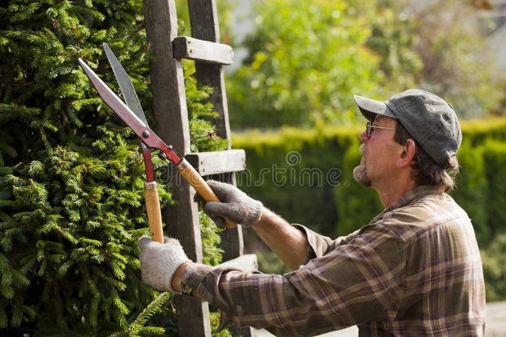 Gardener/Property Maintenance Job in Australia