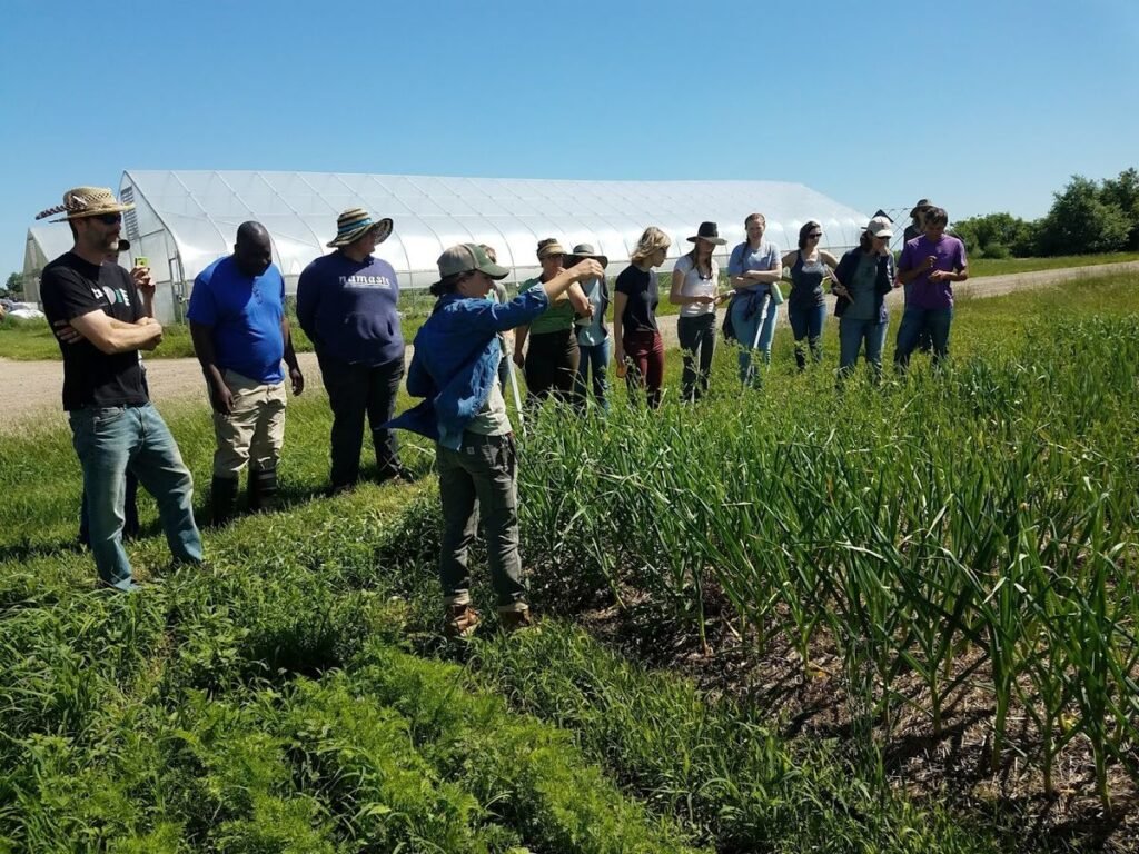 Farm Assistant Worker Job in New Zealand