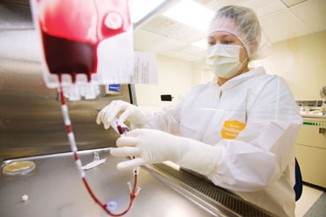 Blood Bank Technologist Job in Karachi