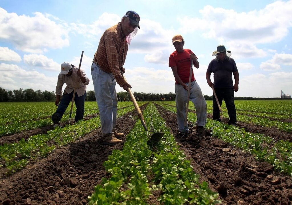 Agricultural Maintenance Supervisor & Foreman Job in Qatar