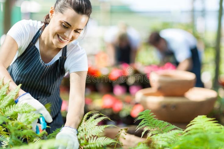 Nursery Farm Worker Job in Canada