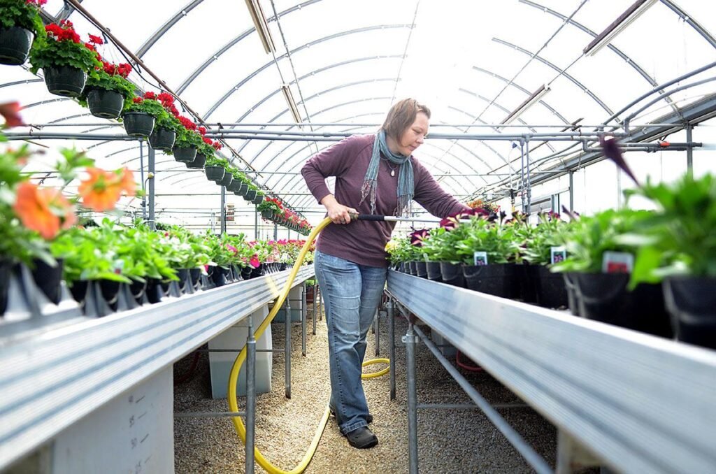 Trainee Horticulturist Job in New Zealand