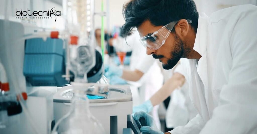 Research Fellow Job in Saudi Arabia