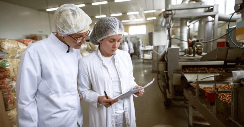 Process Worker Job in New Zealand