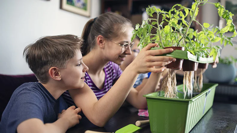 Agricultural Worker Job in Canada