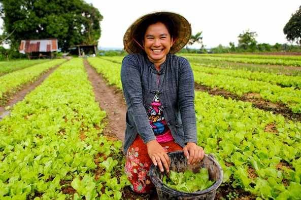 Farm Worker, General job in Canada