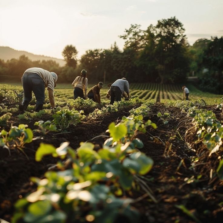 Farm Attendant Job in Australia