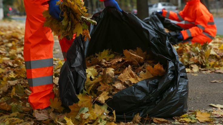 Groundskeeper Job in Qatar