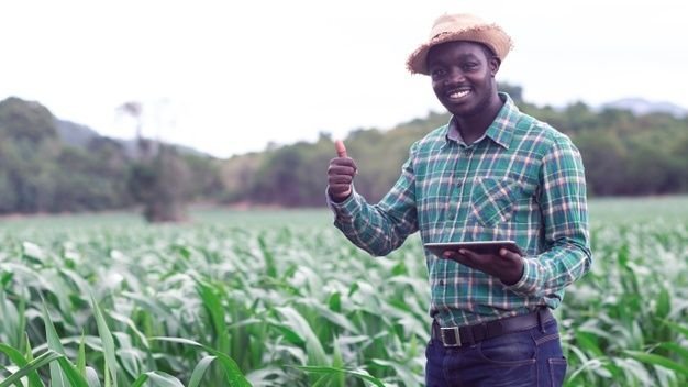 Farm Manager Job in Qatar